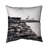 Indoor/Outdoor Throw Pillow