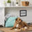 Tucker Murphy Pet™ Fabric Decorative Bin-901136637-901136635