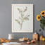 Toile simple encadrée Premium Sprig II - prête à être accrochée-657071378-657071380