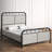 Audriauna Upholstered Metal Open-Frame Bed