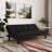 Serta Leonard 66.1" Tufted Convertible Futon Sofa