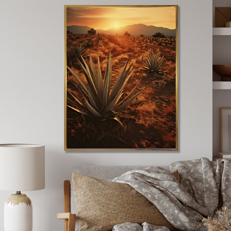 Succulent Field au Texas, H 20 po x l 12 po x P 1 po, Cadre flottant doré