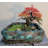 Aureate Bonsai