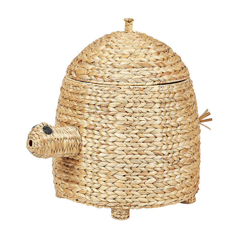 Bay Isle Home Water Hyacinth Storage Bag