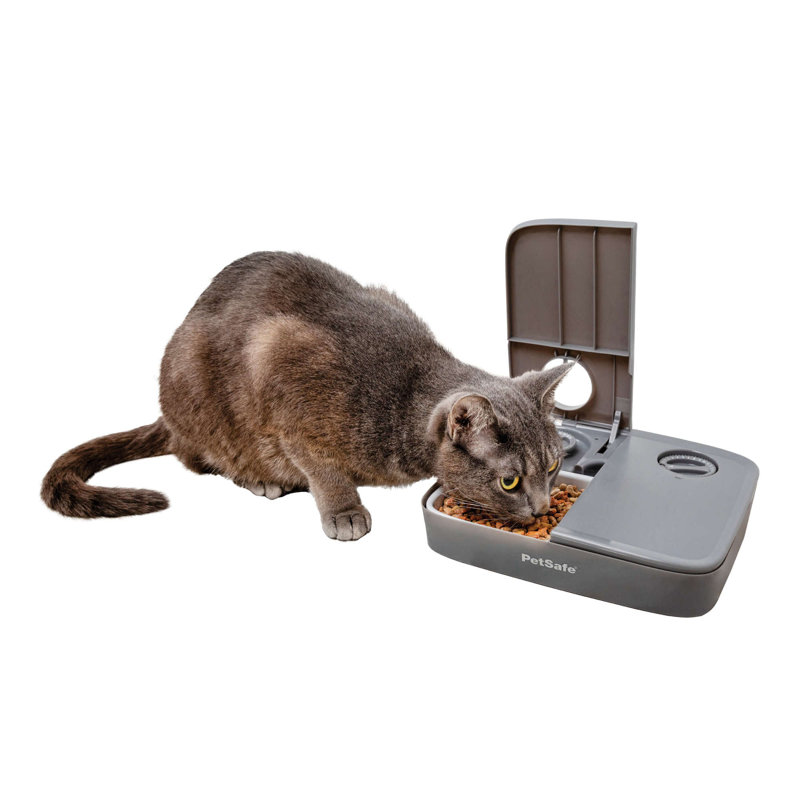 Gray 24oz Automatic 2-Meal Pet Feeder