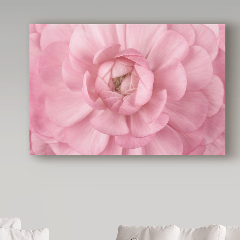 « rose floral pétales », reproduction de photo sur toile tendue, H 12 po x l 19 po