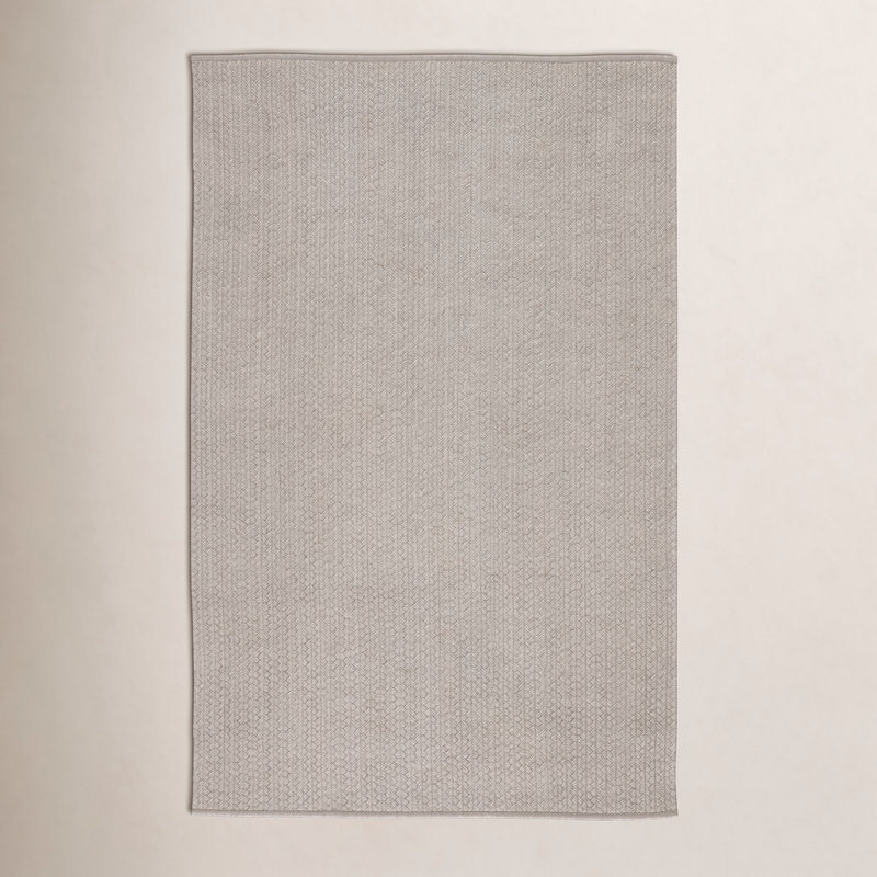 Tapis intérieur / extérieur gris clair tissé à plat à la main Cullen, Rectangle 8 pi 10 po x 11 pi 9 po