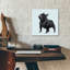  «A Very Pastel Modern Dog 3» par Cartissi, art mural en verre acrylique, 12 po x 12 po