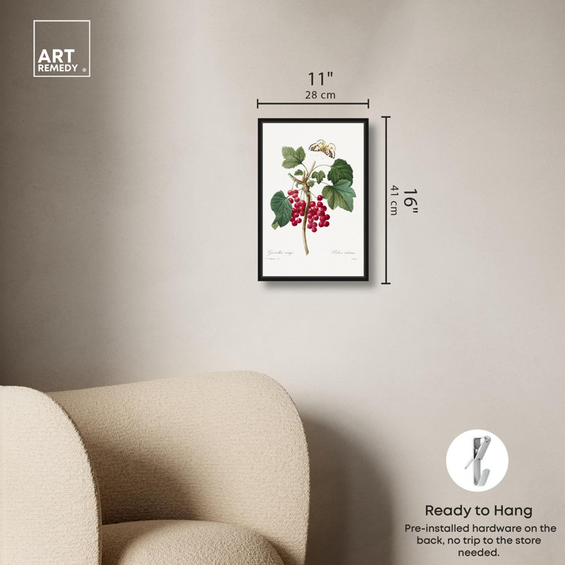 Art Remedy, reproduction d'art sur toile, groseille rouge de Choix, Cadre flottant noir, H 16 po x l 11 po