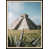 Picture Framed Metal