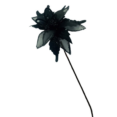 Tige de poinsettia
