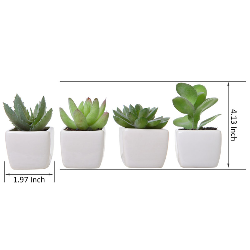 Ensemble de 4 plantes succulentes artificielles en pot