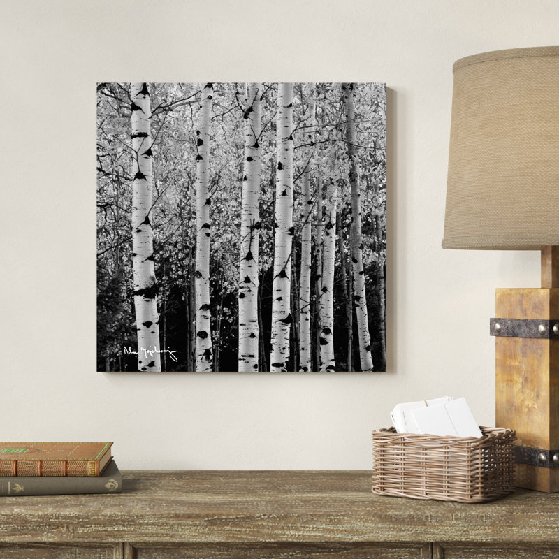 Aspens in Autumn II BW, H 20 po x l 20 po x P 1,25 po