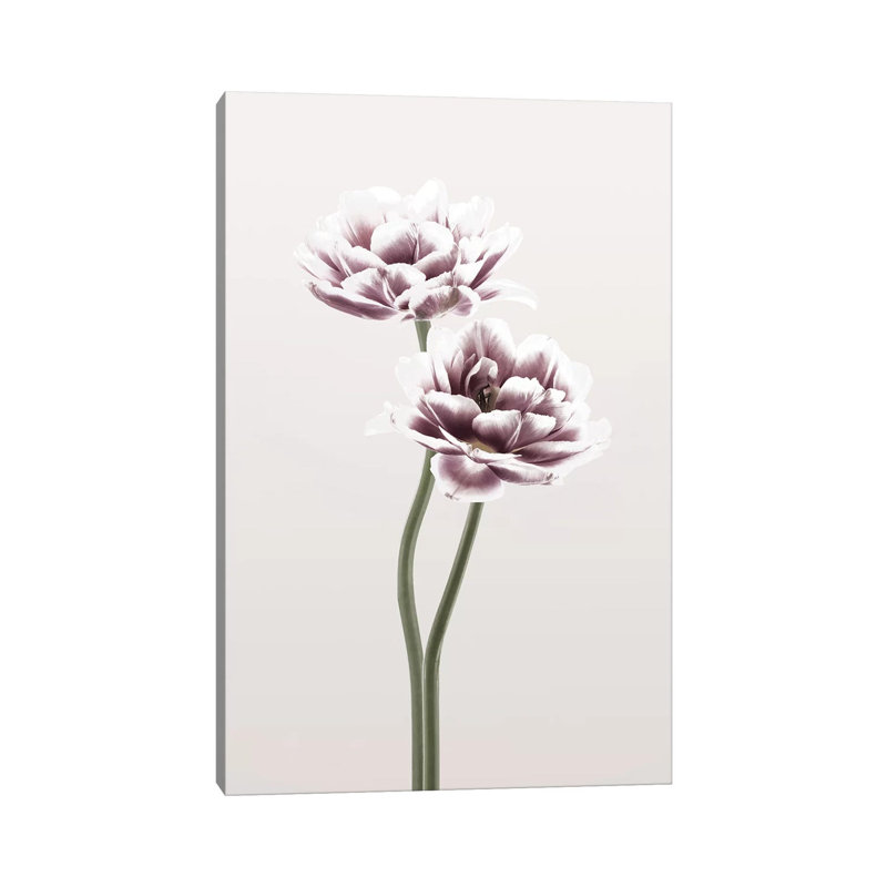 Cosmos I - Print on Canvas, 45.72cm H x 30.48cm W x 1.91cm D, Wrapped Canvas