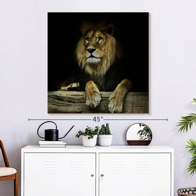 Brampt Imperious Lion, 39" H x 39" W
