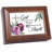 Jindra Plastic Memory Box
