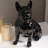 10" H French Bulldog Statue Home Decor Indoor Use Only-109757792