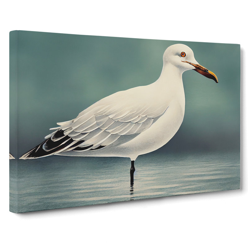 Seagull Portrait Vol.4 - Wrapped Canvas, 50cm H x 76cm W x 3cm D