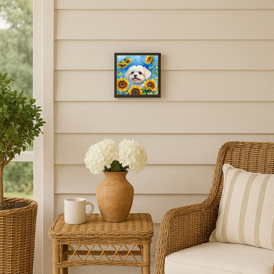 Maltese in Sunflowers Framed Metal Print