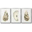 «Neutral Oyster Study I», ensemble de 3 toiles encadrées-1804194980-1804194987