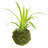 Bumgarner Pot Planter-1262359464-1262359460