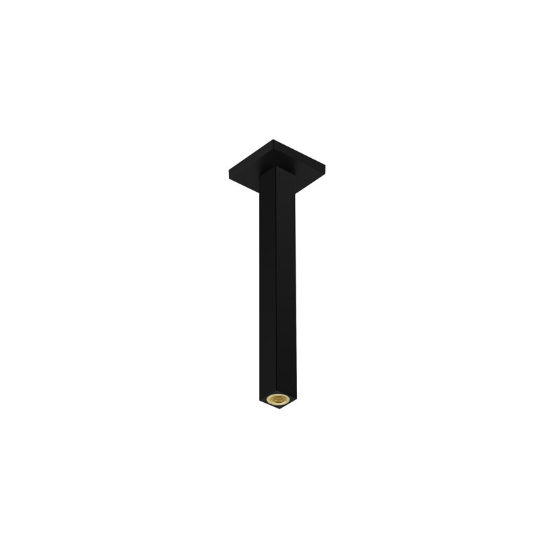 Tuyau d'extension pour plafonnier E hansgrohe Pulsifier E, 12 po, Noir mat