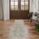 Louque Oriental Indoor Rug