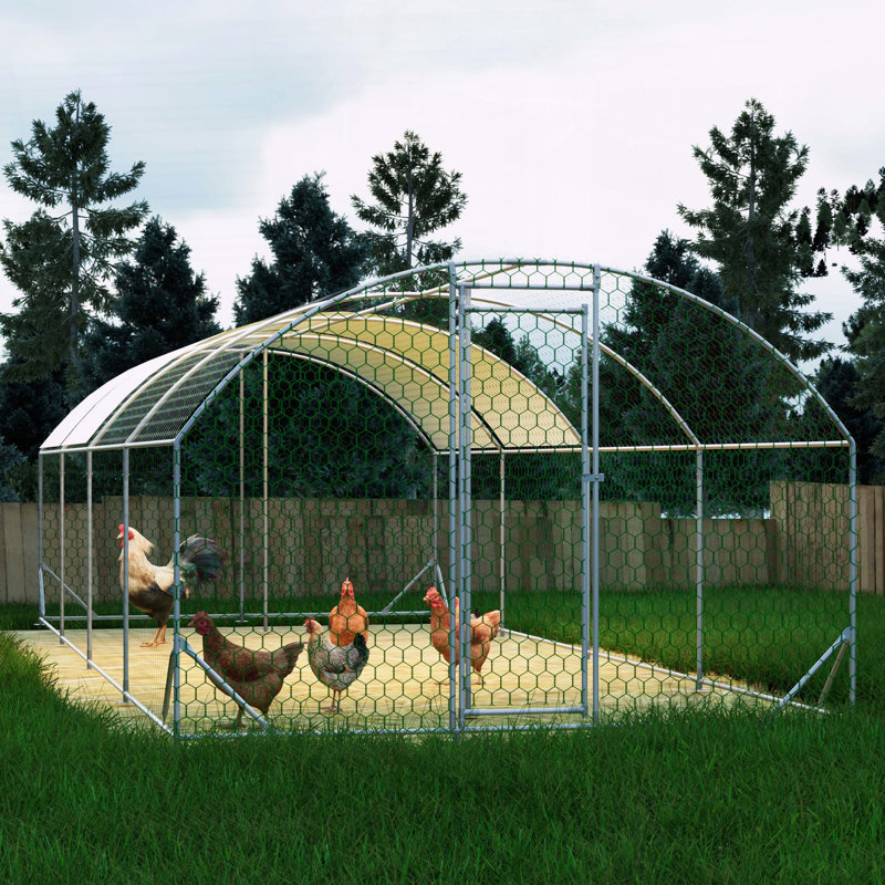 Grande cage à poulets en métal, H 78,72 po x l 314,88 po x P 118,08 po