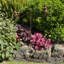 Evelina Animals Metal Garden Statue