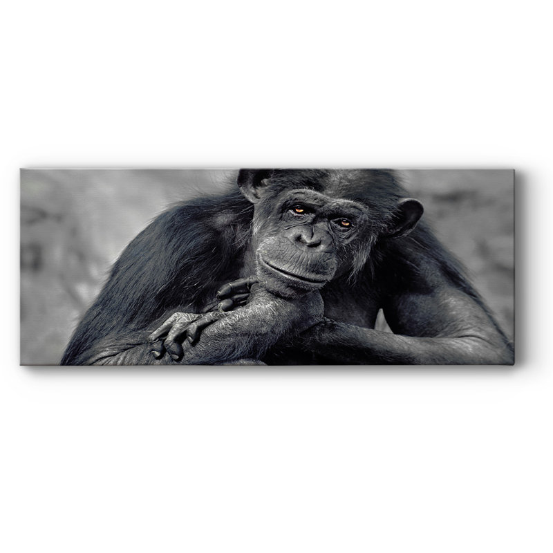 Captivé sur toile, H 20 po x l 50 po x P 1,5 po