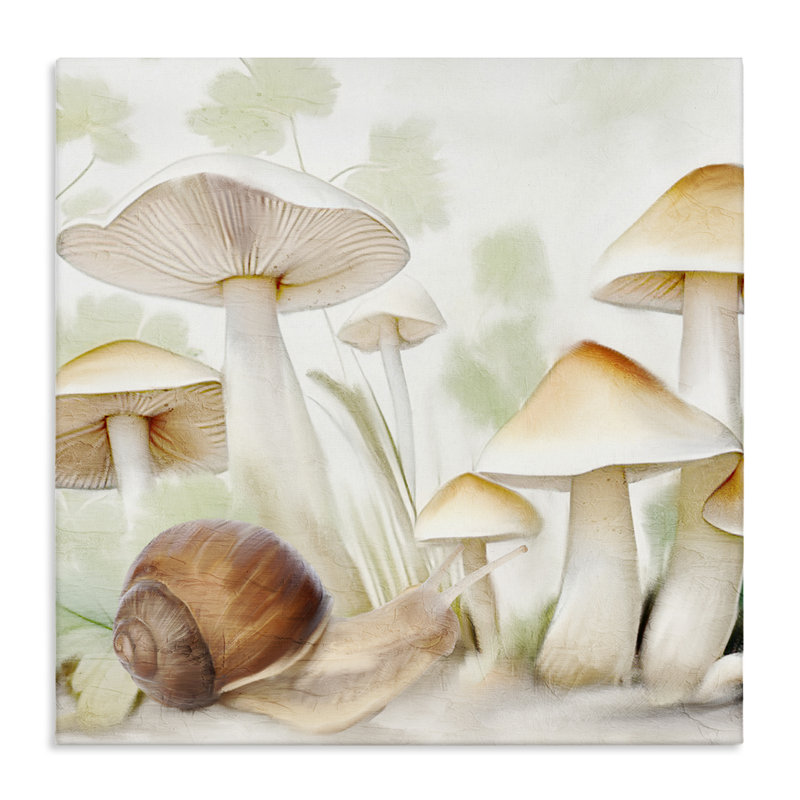 Art mural sur toile, "Escargot parmi les champignons" par Kim Allen, H 30 po x l 30 po