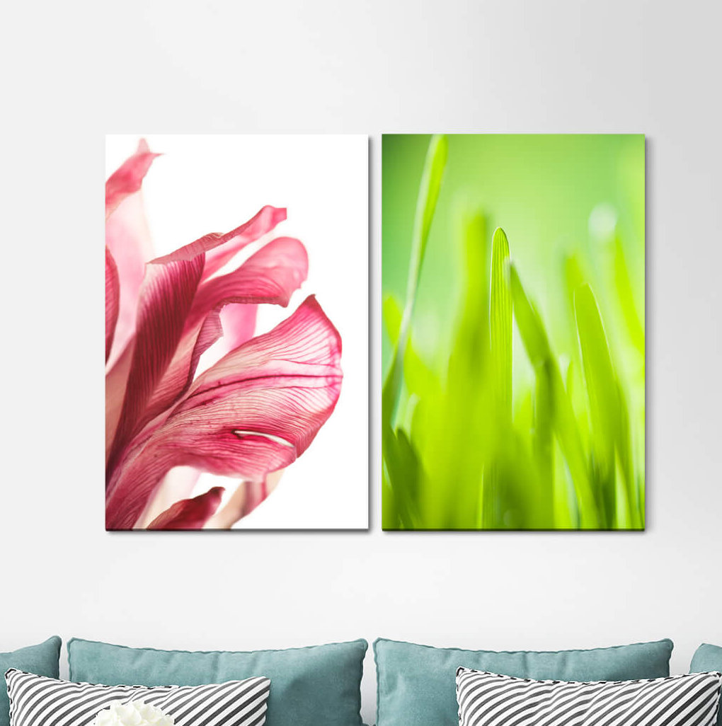 2-tlg. Leinwandbilder-Set - Fotografie „Red Flower Blades of Grass Green Fresh”