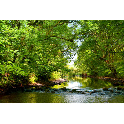 Cree Wood And River by Cloud77 - Wrapped Canvas Print