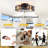 20'' 6-Speed Farmhouse Reversible Caged Ceiling Fan With Light Kit And Remote