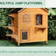Enclos pour chat à 2 étages pour l'extérieur - maison en bois avec porte de secours et plateformes de saut pour le plaisir des chats