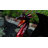 Fortin Solar Dragon Decor