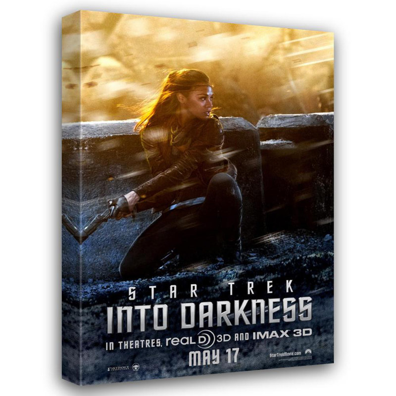 Star Trek Into Darkness, 24" H x 16" W