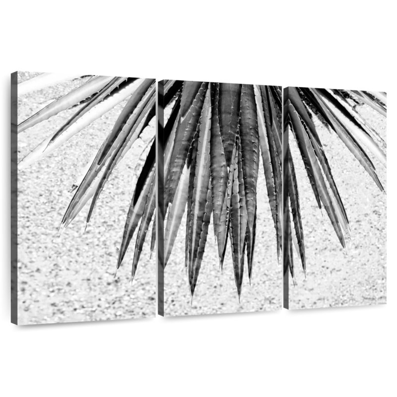 Harnek Black Arizona - Aloe Vera, 48" H x 74" W