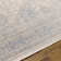 Jazive Oriental Indoor Rug