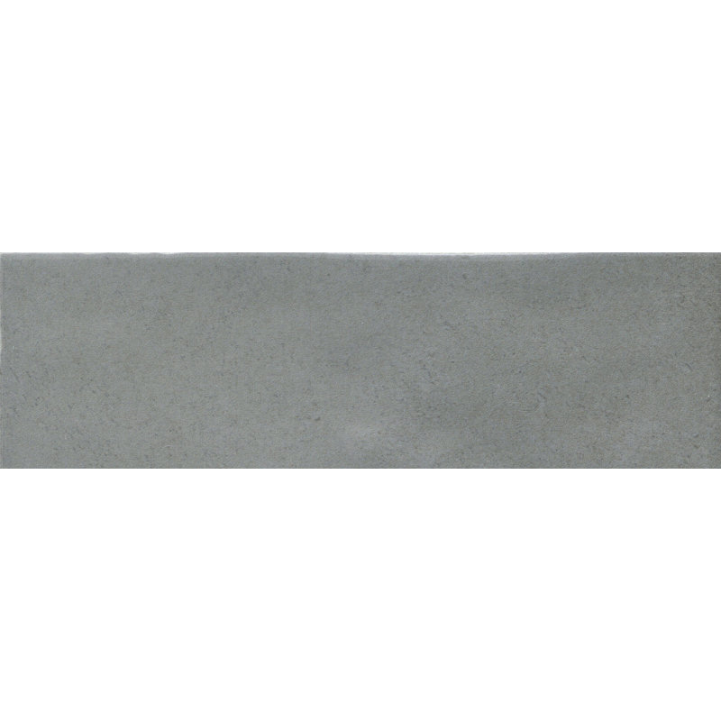 Passion 2.56 W x 7.87 L Tile, Gris