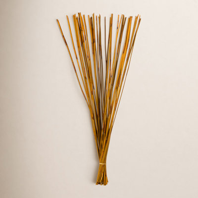 Dried Elephant Reed Stems