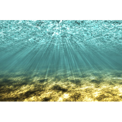 " The Underwater "