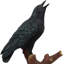Figurine Chayanne Ebros Quoth Nevermore