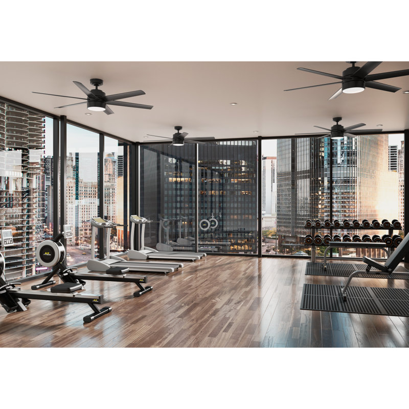 60" Solaria 6 - Blade Outdoor Standard Ceiling Fan with Lights, Black