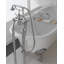 Draycott Bathtub with Eagle Feet-59587571