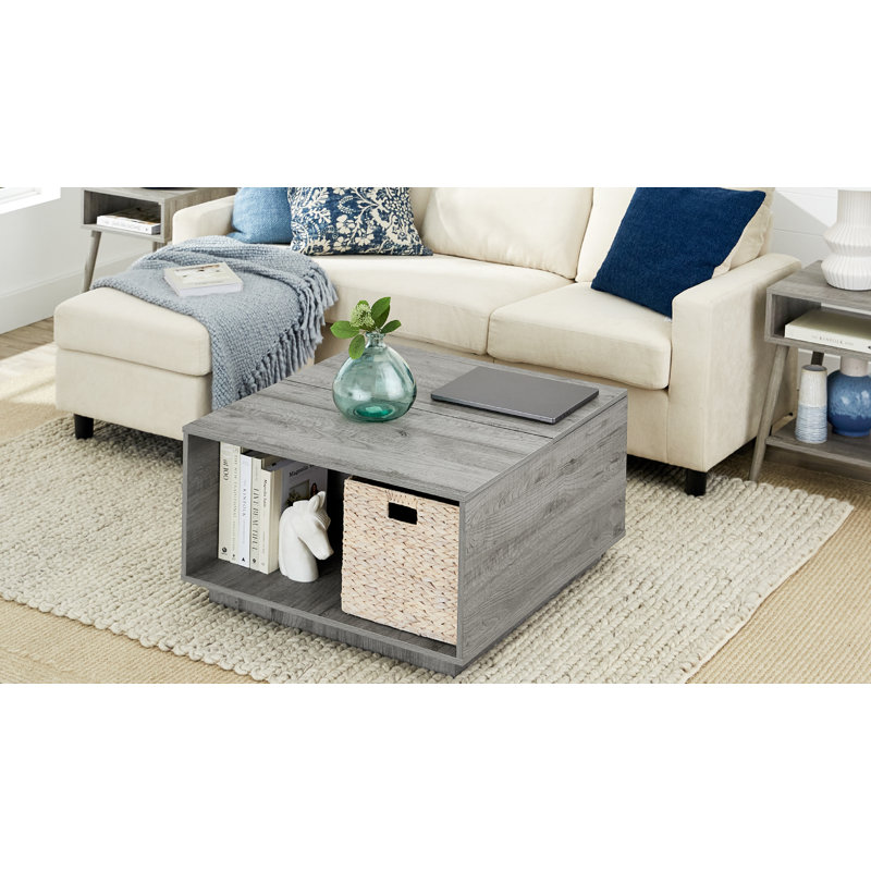 Chrishonda Coffee Table, Gray