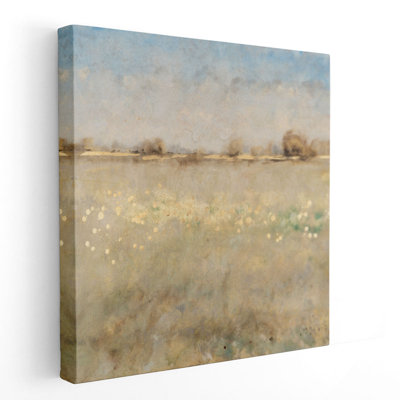Meadow Plane II - Canvas Print Wall Art