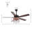 Sherranda 52'' Ceiling Fan with Light Kit-1440172621