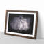 Lion In The Mist Paint Splash - Picture Frame Graphic Art-56865754-56865758