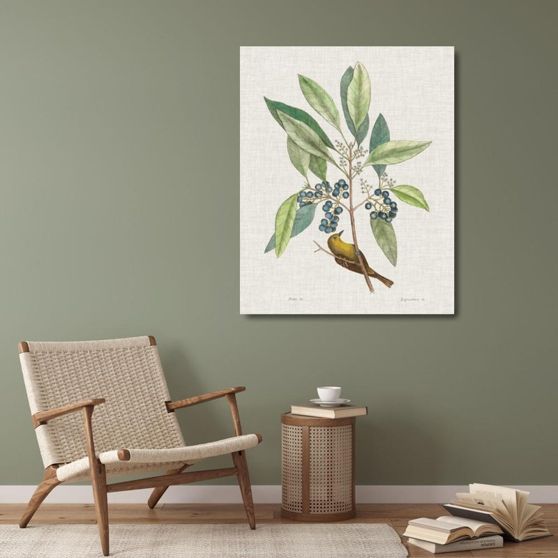 Art Direct Catesby, Mark, reproduction d'art sur toile tendue, Études dans la nature IV, H 34 po x l 28 po